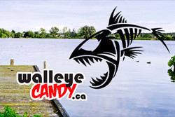 Walleye Candy